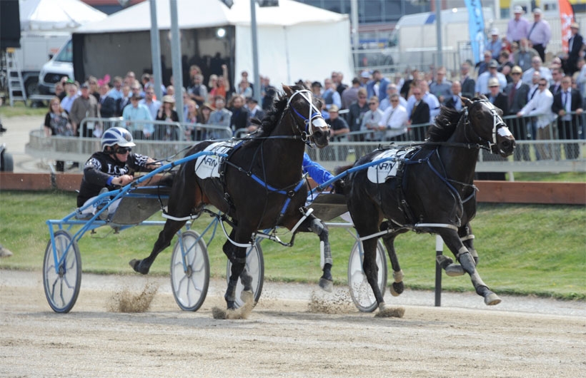 Interislander Summer Festival Riccarton Races